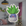 Oddish Sticker