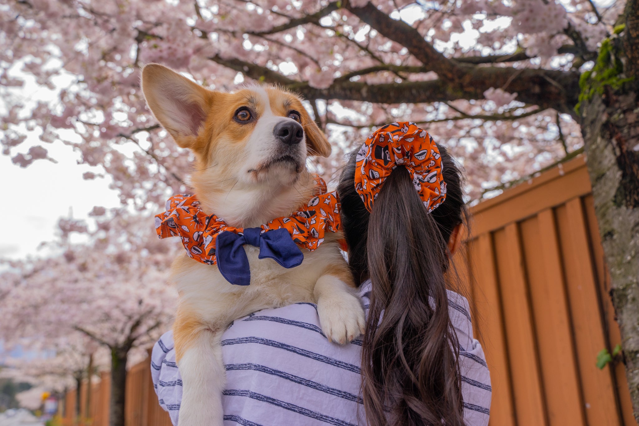 Wandering Castle Anime Dog &amp; Cat Scarf