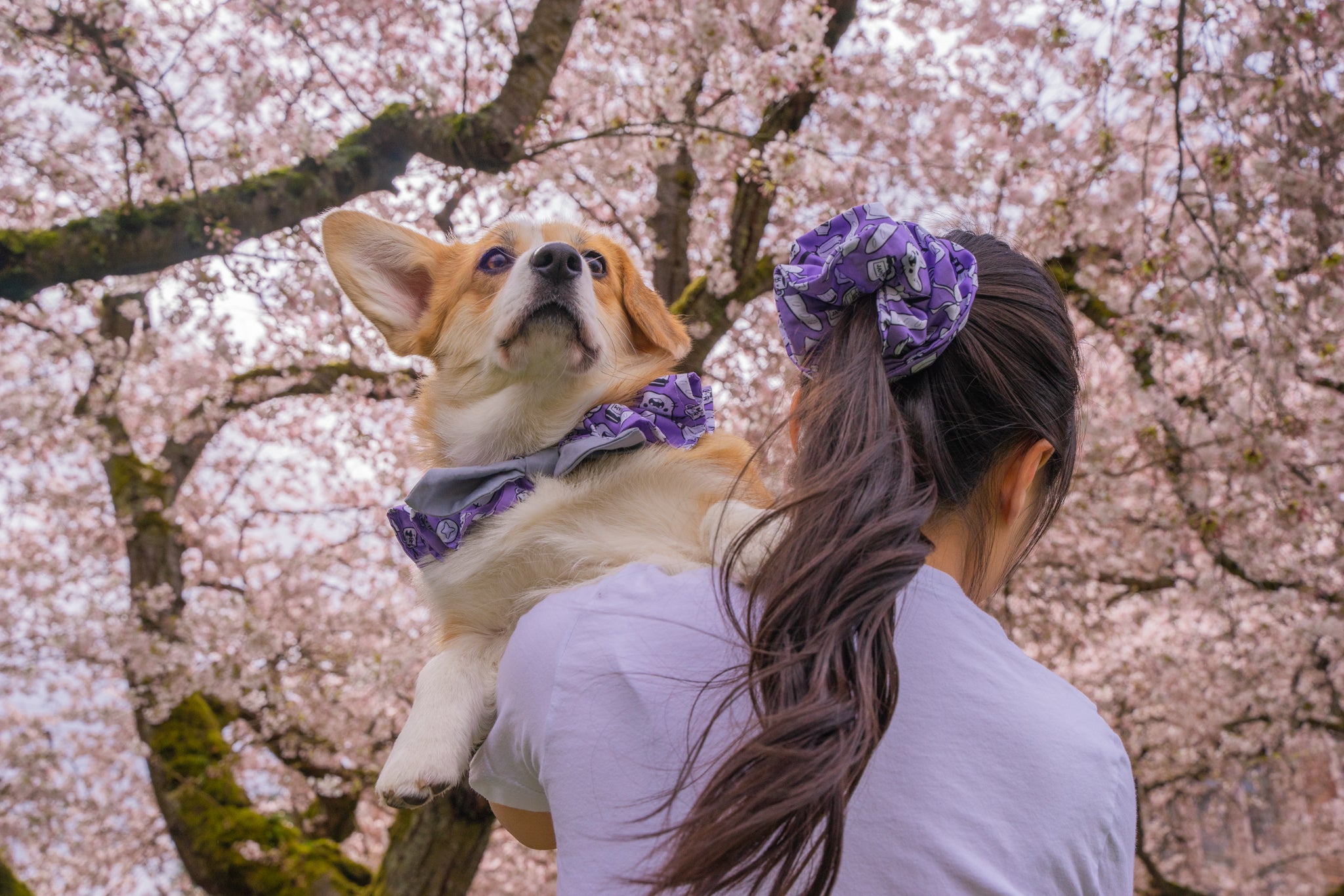 Magical Delivery Adventure Anime Jumbo Scrunchie