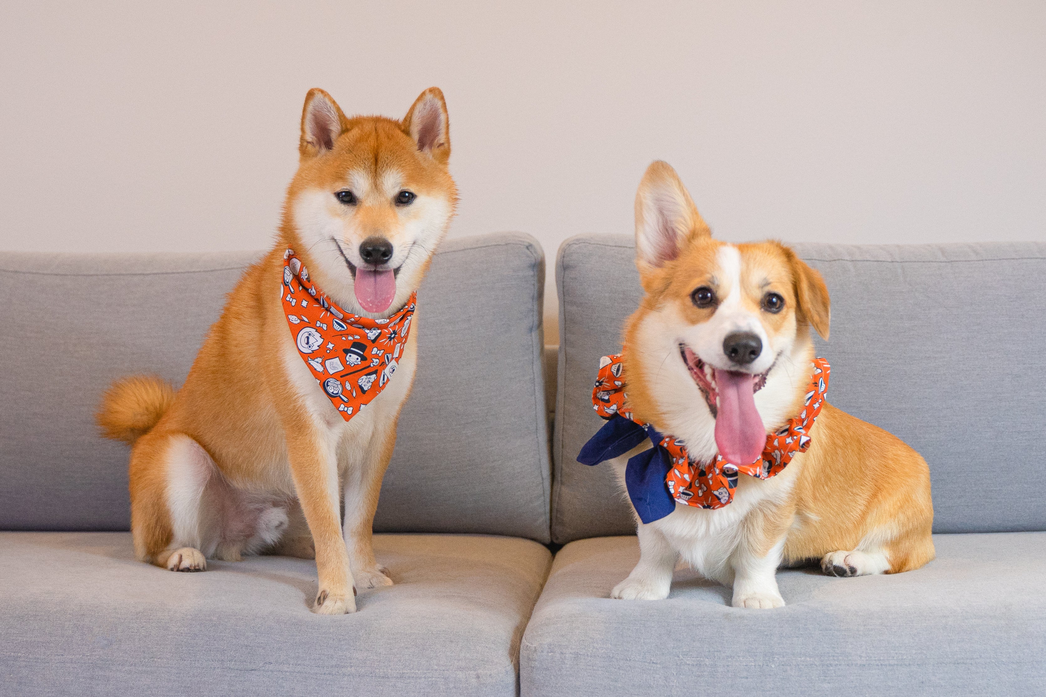 Wandering Castle Anime Dog &amp; Cat Bandana