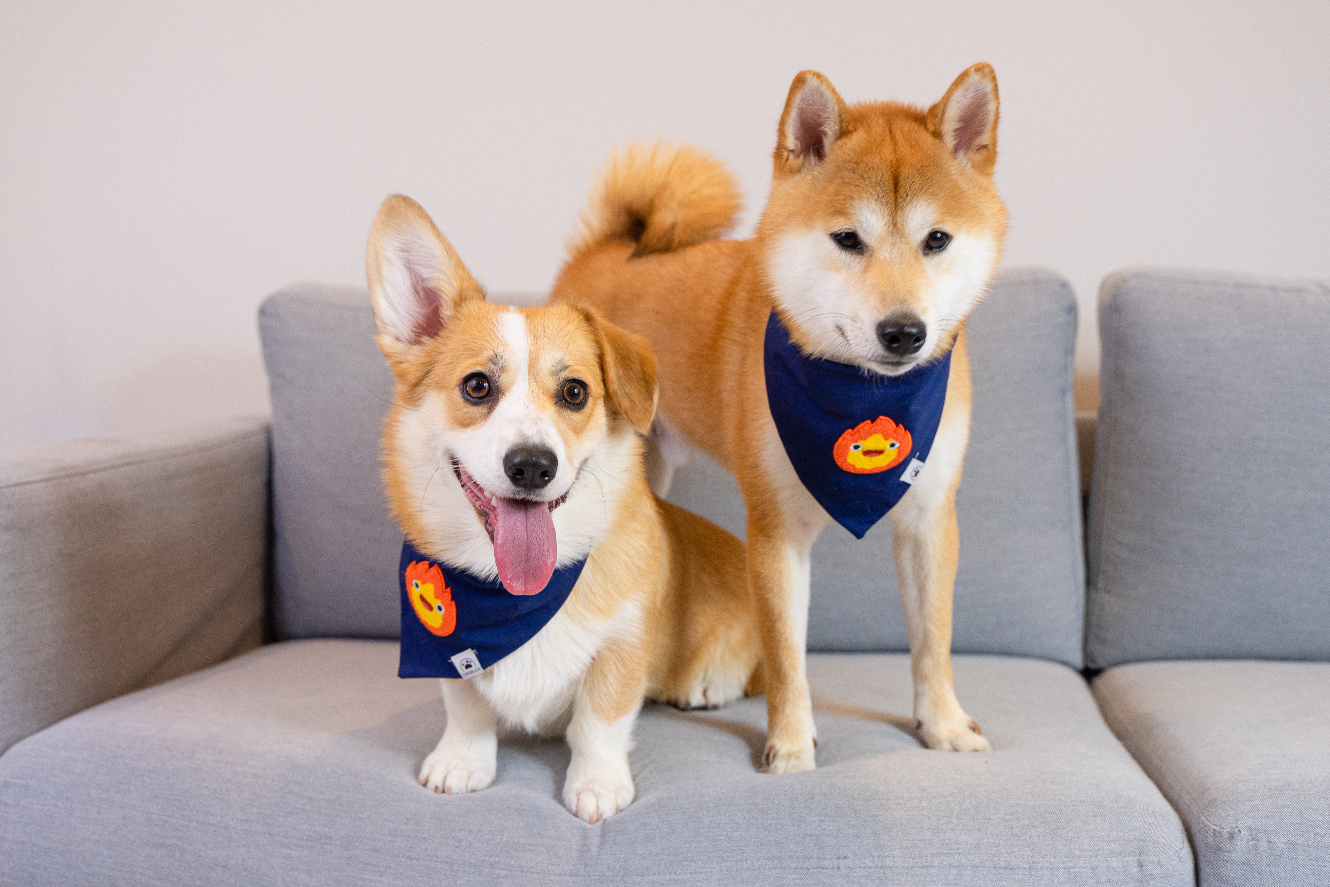 Little Fire Spirit Anime Dog &amp; Cat Bandana