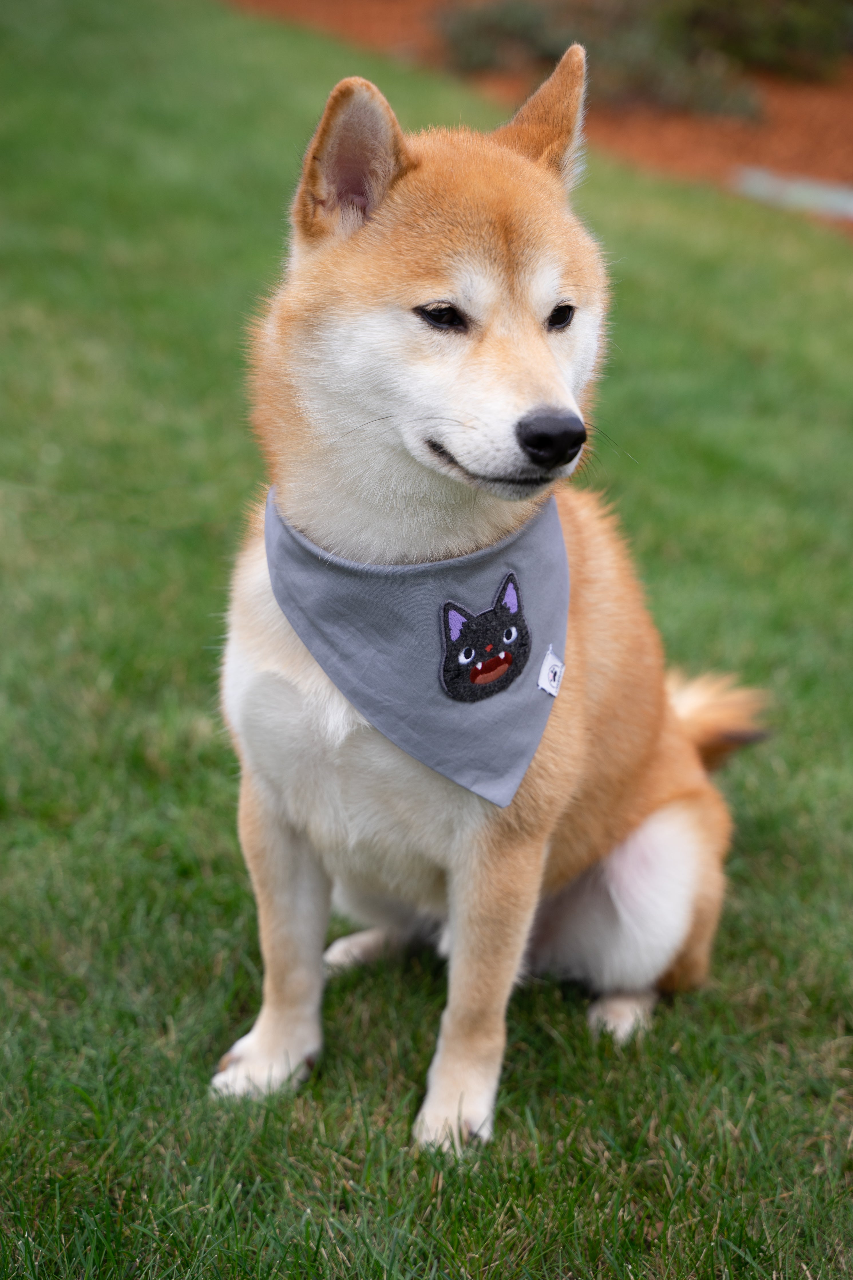 Magical Cat Anime Dog &amp; Cat Bandana